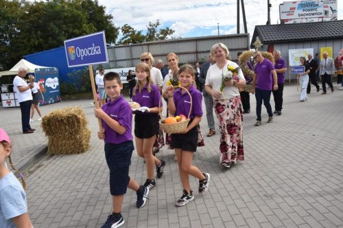 540991573 1227276849435604 6423538807651121697 n