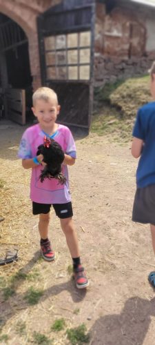 IMG-20260714-WA0060