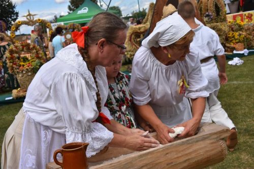 542186946 1227292246100731 605640786769384637 n