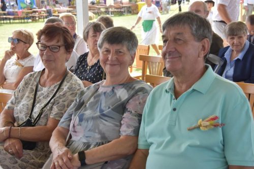 540981373 1227286282767994 5315178392023308597 n