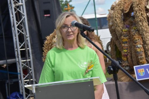 541157158 1227286049434684 9028272554698414853 n