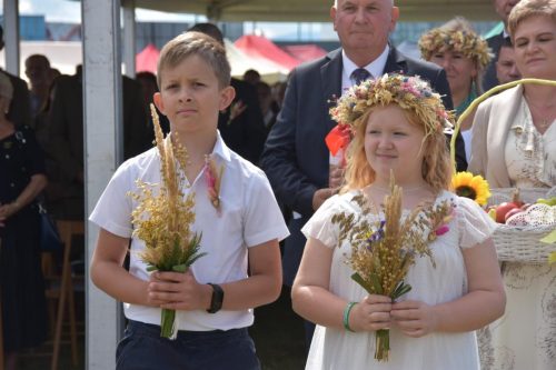 542099202 1227286179434671 5053756099312316491 n