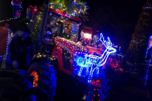 jarmark dron1 2025050