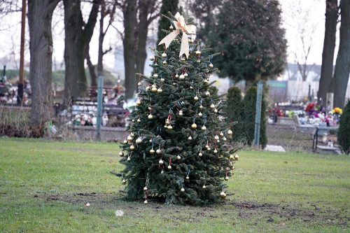 otwarcie budynkow243