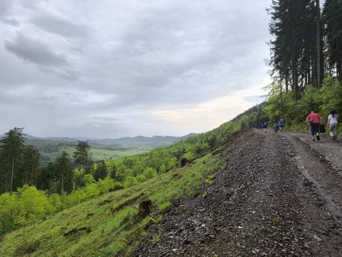 495558107 1173457424791229 6998955875908327376 n